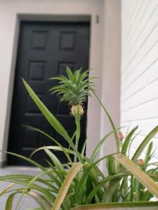 Hotel Boutique Valverde Santa Elena