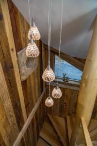 Villas Chalet Le Lodge : photos des chambres