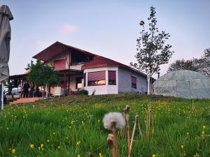 The House in the Meadow Epirus Greece