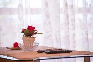 Apartman Elza