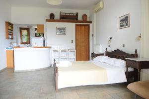 Pegasus Studios & Apartments Skyros Greece