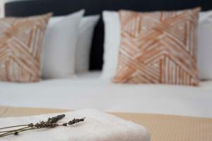 Modern 2bed 2bath loft in Acropolis area