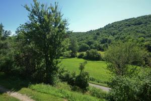 Maisons de vacances Gite Manseng : photos des chambres