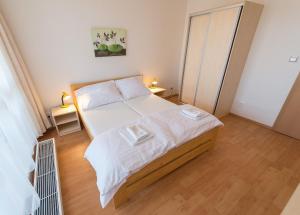 Apartmán U Lázní D22