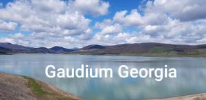 GAUDIUM HOUSE