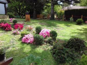 Chalets gite de beletou : photos des chambres