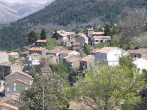 B&B / Chambres d'hotes San Larenzu : photos des chambres