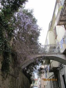 Appartements APPARTEMENT BASTIA AU PIED DU VIEUX PORT : photos des chambres