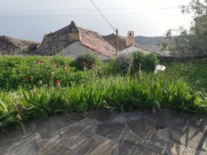 The traditional hause with the best view Arkadia Greece