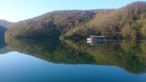 Apartman Marija Brajdic