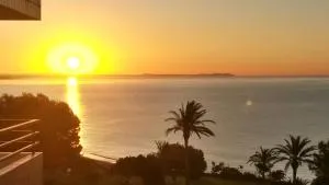 Panorama 29 - Miami Platja