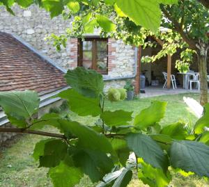 Maisons de vacances Gite Malivert : photos des chambres