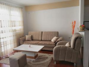 Vidojevskis Apartment