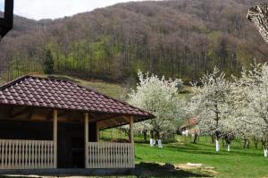 Casa din Livada
