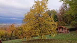 Maisons de vacances Les Cabanes Du Saleve : photos des chambres