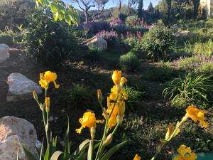 Appart'hotels Domaine du Mas Foucray : photos des chambres