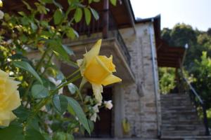 Holiday Home Dionysis