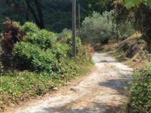 Holiday Home Dionysis Pelion Greece