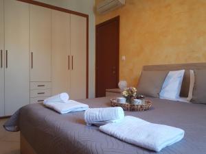 Comfy Apartment