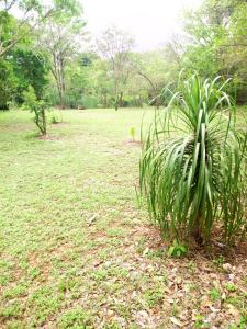 Sierraverde cabin Cabaa el Cedro