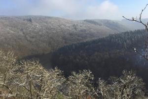 Villa des Grues à Filly