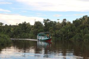 houseboat kelotok bee