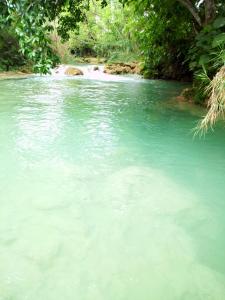 Cozy Sierraverde Cabins cabana la ceiba