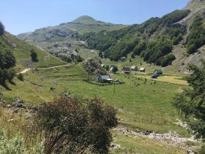 Chalet room in Katun Mokra