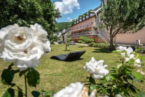 Logis Hôtel Restaurant Les 2 Rives - A75, en bordure de rivière