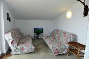 Apartman Branka