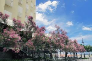 Hotel Colorado Cesenatico