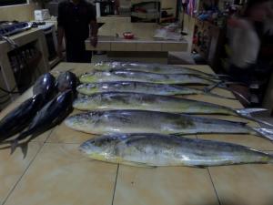 Sailfishbay Surf And Big Game Fishing Lodge