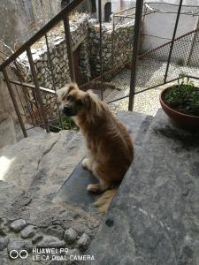 Bed and Breakfast Zanaglio