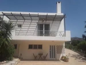 Alpha House - Dhrápanos