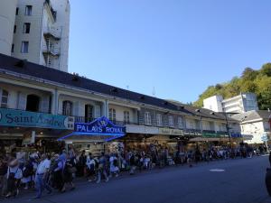 Appartements Residence l'Adour Lourdes : photos des chambres