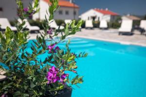 B&B Villa Maris Punat