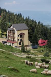 3 stern hotel Hotel Muntele Mic Borlova Rumänien