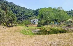 Anni Farmstay - 美人鱼岛