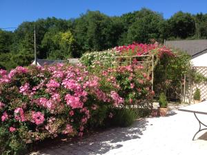 B&B / Chambres d'hotes la Chambre des Dames : photos des chambres