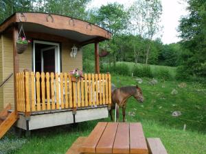 B&B / Chambres d'hotes Le Domaine du Chatelet : photos des chambres