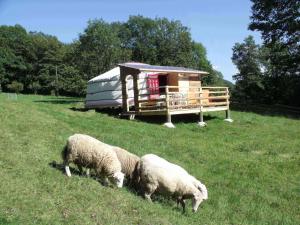 B&B / Chambres d'hotes Le Domaine du Chatelet : photos des chambres