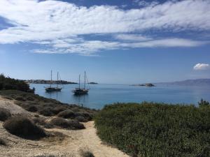 Bluefox Apartments Naxos Greece