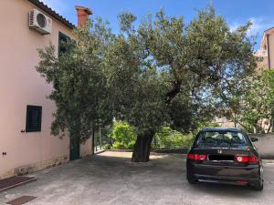 Villa Oliva