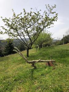 Maisons de vacances CHATEAU ROUSSET : photos des chambres