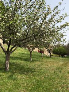 Maisons de vacances CHATEAU ROUSSET : photos des chambres