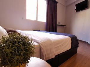 The Core Hotel