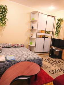 Apartment in Lviv City Center