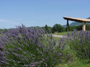 Hotels Golf Hotel De Digne Les Bains : photos des chambres