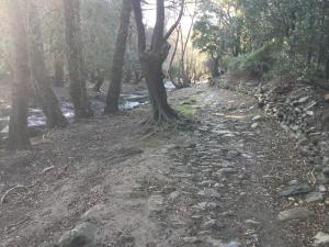 Chambre d hôtes en haute corse photo 18