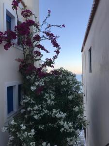 Lovely Flat With Amazing View Spetses Greece